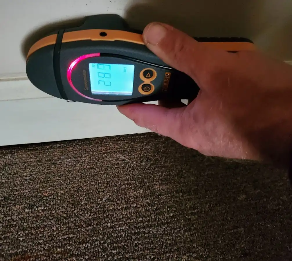 Moisture detection at baseboard during Mold Inspection & Testing in Plainfield